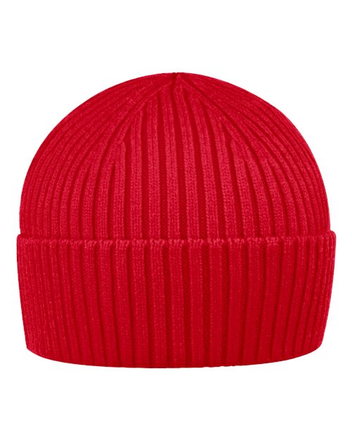 Sportsman Watch Ribbed Beanie SP55