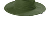 Olive Leaf