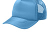 Carolina Blue