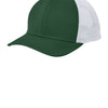 Forest Green/ White