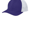 Purple/ White