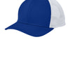 True Royal/ White