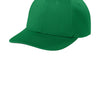 True Kelly Green